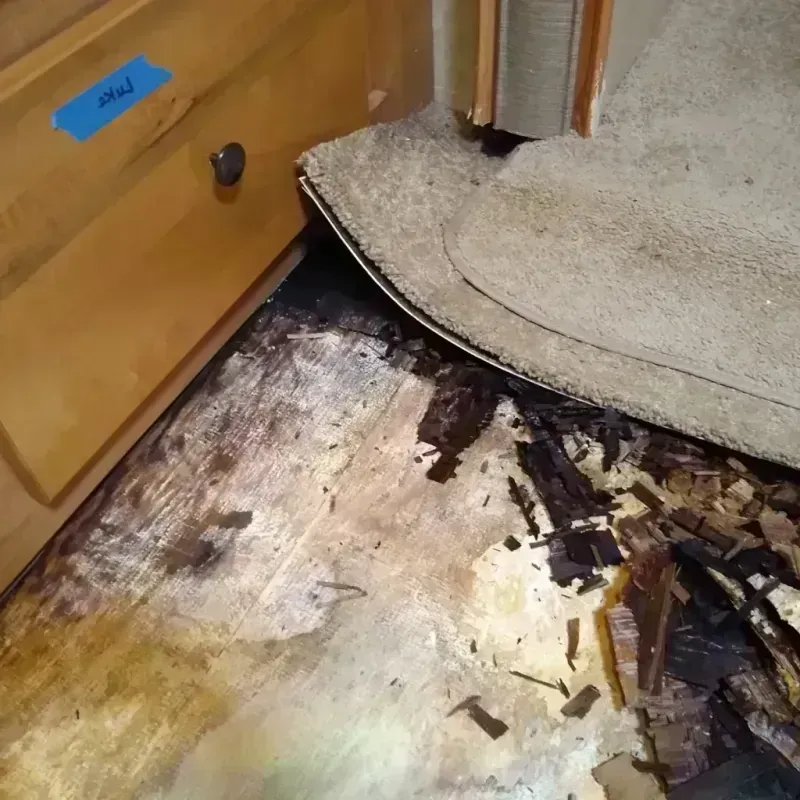 Wood Floor Water Damage in Jefferson, LA